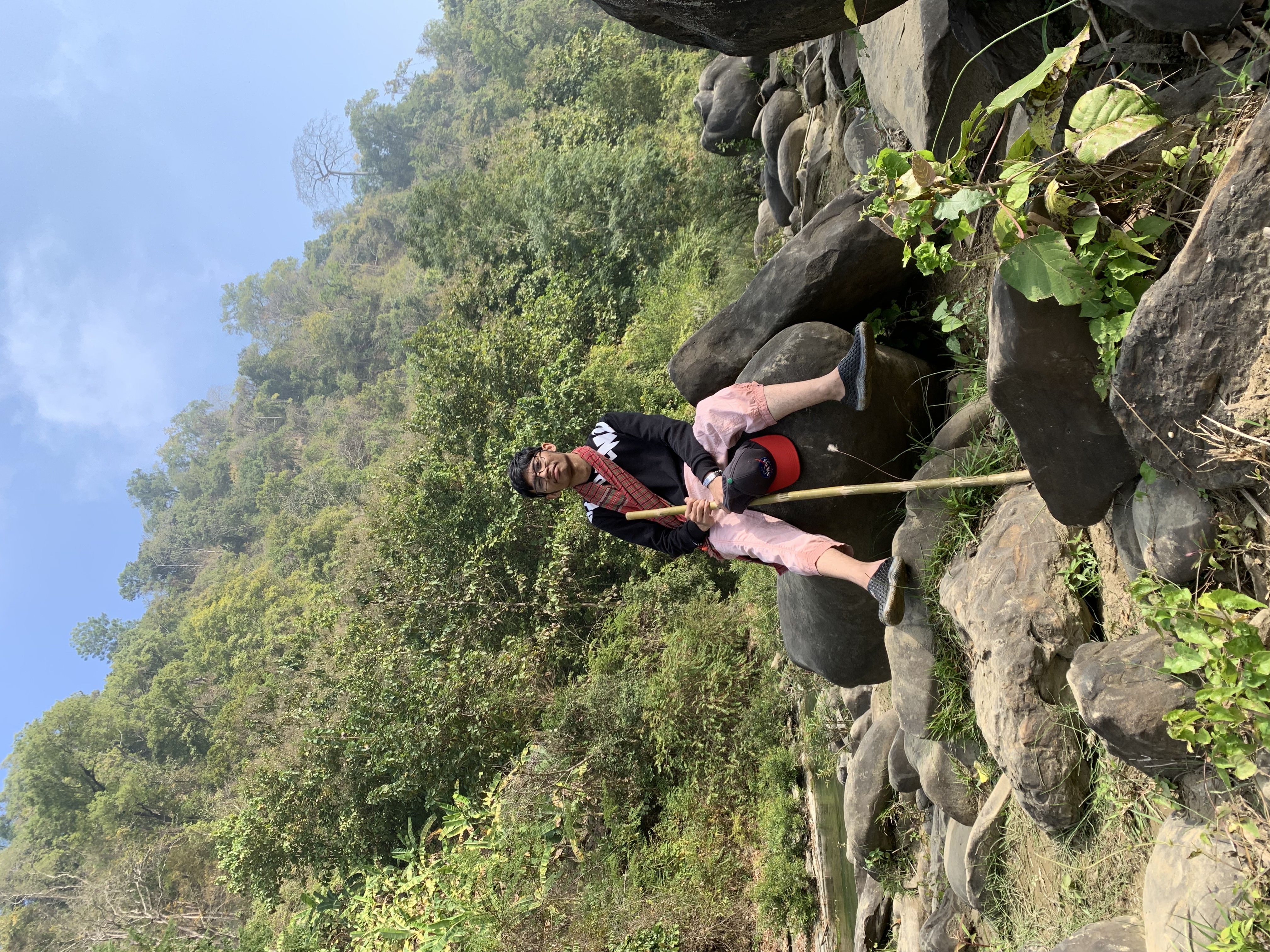Person lying in a field of yellow flowers